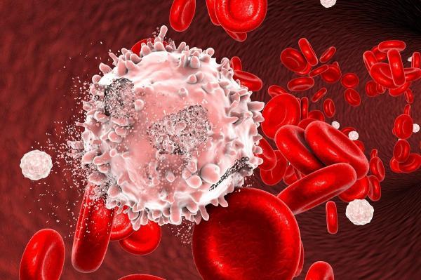 کشف سلولی که در بدن همه وجود دارد و می تواند به سرطان خون بدل گردد
