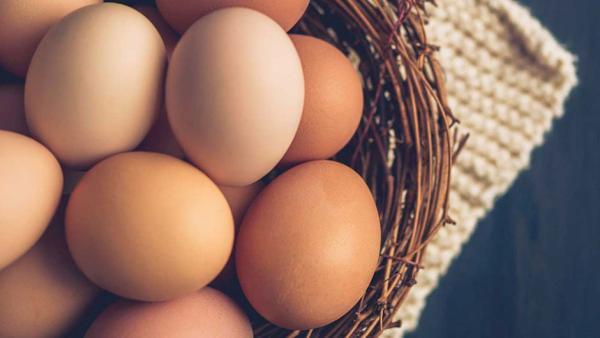 کالری تخم مرغ چقدر است؟ ، آنالیز کالری حالت های مختلف پخت