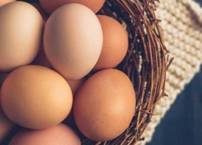کالری تخم مرغ چقدر است؟ ، آنالیز کالری حالت های مختلف پخت