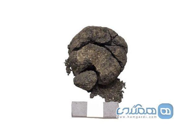 کشف یک تکه نان 8600 ساله در محله باستانی چاتال هویوک